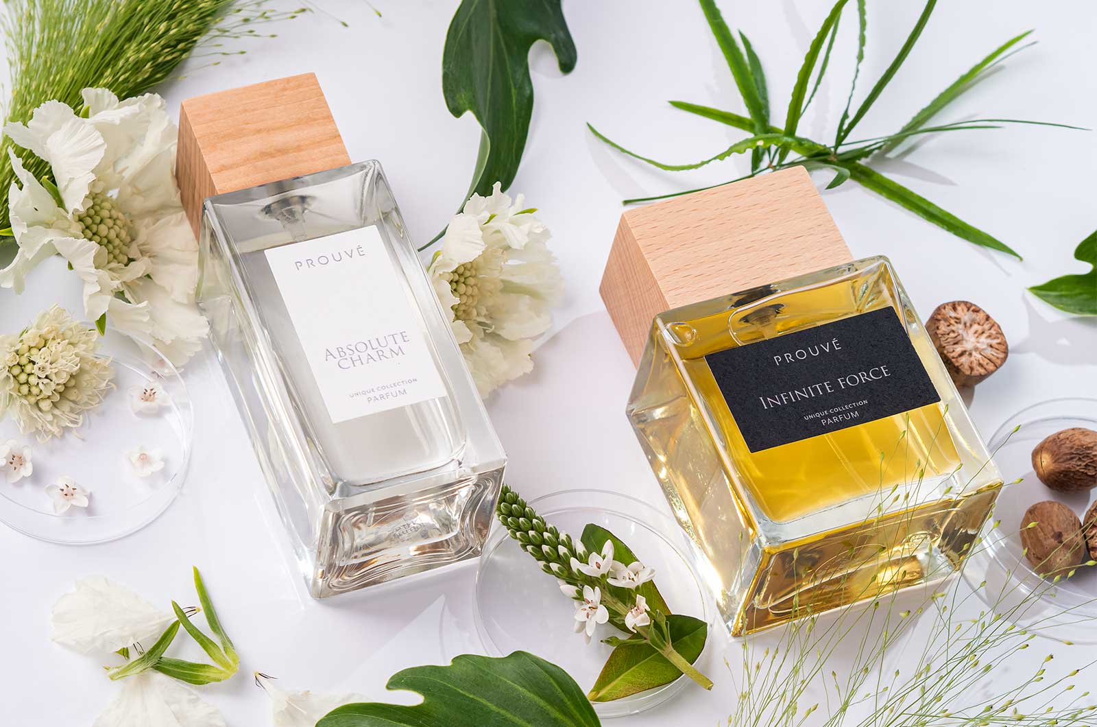 Ekskluzywne powroty: Absolute Charm i Infinite Force znów dostępne