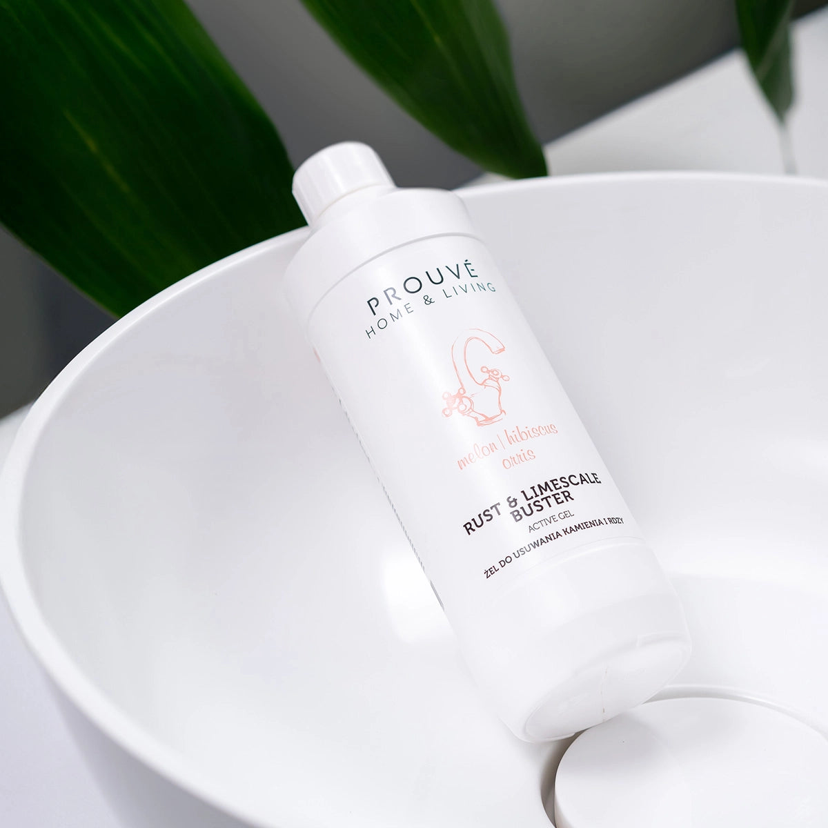 Żel do usuwania kamienia i rdzy